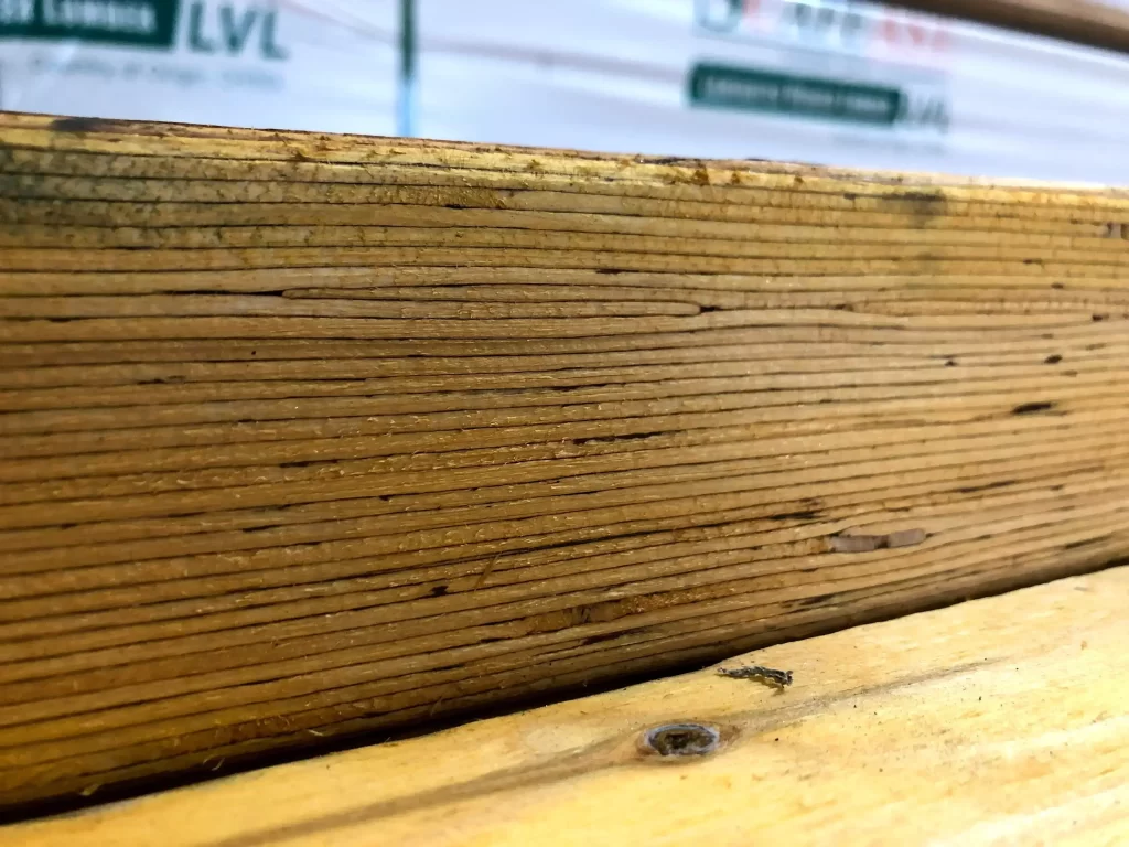 Buy LVL Timber